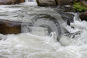 Blurred image of the movement of water in a beautiful forest river with a waterfall