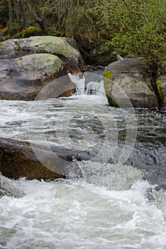 Blurred image of the movement of water in a beautiful forest river with a waterfall