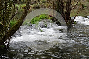 Blurred image of the movement of water in a beautiful forest river with a waterfall
