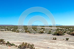 Blurred landscape of Bolivian desert in sunny day with blue sky Eduardo Avaroa Park, Bolivia