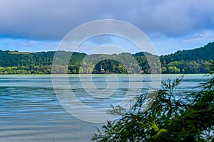 Blurred leaves and water gradient color of Furnas lagoon, SÃ£o Miguel - Azores PORTUGAL photo