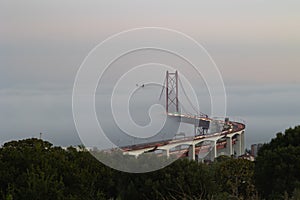 Blurred light from car headlights driving on a bridge in fog