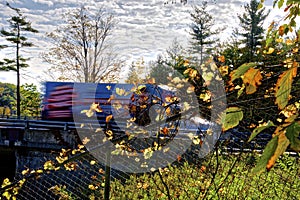 Blurred motion of truck on highway bridge over the valley with autumn leaf color