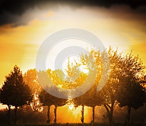 Blurred natural background in autumn trees sunset sky defocus