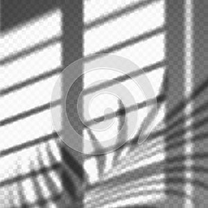 Blurred palm leaves and blinds shadow cast photo