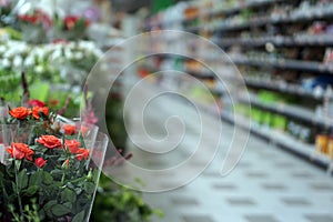 blurred photo of a flower department in Italy