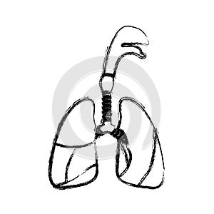 Blurred realistic silhouette respiratory system with windpipe