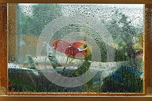 Blurred red flowers in a wooden window frame, wet window glass, raindrops. Natural picture, nature painting