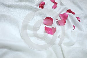 Blurred red rose corollas on a white wrinkled bedsheet