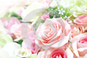 Blurred rose pink soft bouquet for background, roses flower blurry pink color pastel, rose sweet color blur