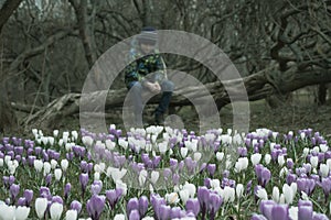 A blurred sad boy sitting on a fallen tree in dark park, many crocus flowers in front of him - he is apathic, dismal, cheerless