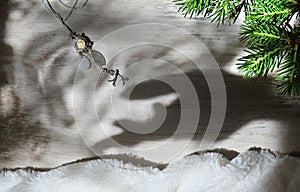 Blurred shadow of female hand and branch of Christmas tree,  Abstract, play of light and shadow, shadow play illusion and holiday
