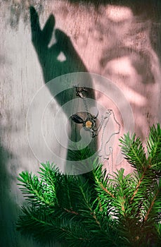 Blurred shadow of female hand and branch of Christmas tree,  Abstract, play of light and shadow, shadow play illusion and holiday