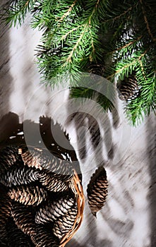 Blurred shadow of female hand and branch of Christmas tree, basket with fir cones. Christmas still life, play of light and shadow