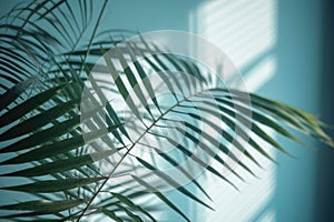 Blurred shadow from palm leaves on the light blue wall. AI generated