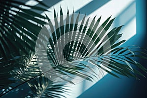 Blurred shadow from palm leaves on the light blue wall. AI generated