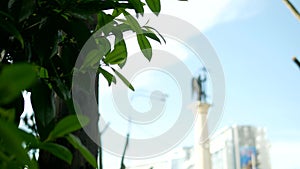 Blurred silhouette statue of an angel with a sword against the blue sky in the frame of foliage