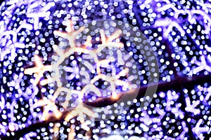 blurred snowflake on defocused background of blue christmas lights