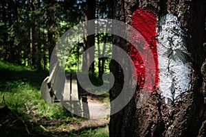 Blurred sunny bench along a forest hiking path in the Austrian Alps with a path sign painted on a tree trunk, Mieminger Plateau,