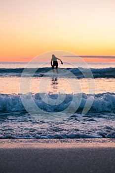 Blurred surfer on longboard. small waves during beautiful sunset. surfing behind arctic circle has advantage of midnight sun