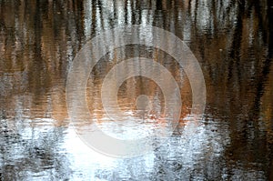 Blurred tree reflections in water