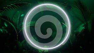 Blurred tropical leaves with circle neon light frame behind Frosted glass. Green tropic leaves background. Glassmorphism. 3d
