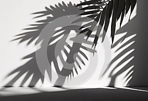 Blurred tropical palm leaf shadow on concreate wall background for product show, Spring and Summer, Minimal Style, Generative