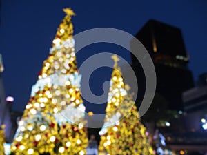 Blurred two christmas tree decorated with glowing golden lights bulb and star on top