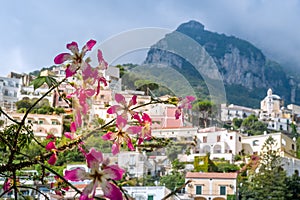Blurred view of Positano village at the background of flowers.