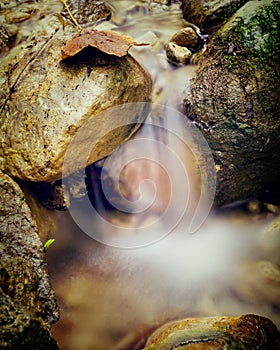 Blurred water 9 and autumn leaf