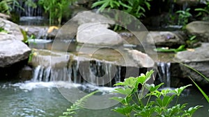 Blurred of waterfall, selective focus on small branches of tree.