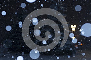 Blurred winter background  falling snow against the background of snowy Christmas trees