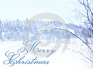 Blurry and abstract magical winter landscape photo with greeting text: Merry Christmas. Glitter overlay.