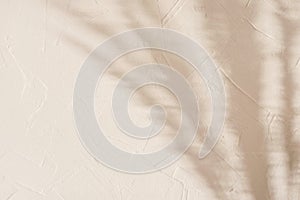 Blurry floral sun light shadows, meadow grass silhouette on textured neutral beige concrete wall background, copy space