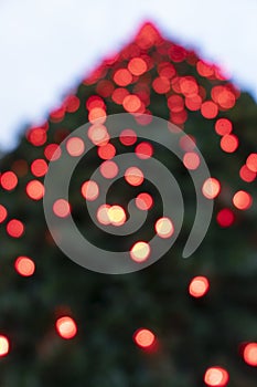 Blurry Green Christmas Tree with red lights