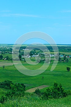 Blurry image of green field and blue sky background, vertical view. Landscape, nature, farmland concept.