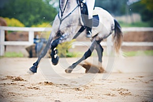 A blurry image of the legs of a spotted gray horse galloping across a sandy arena