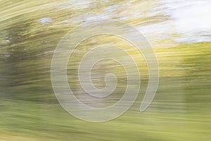 Blurry image of the view from the window