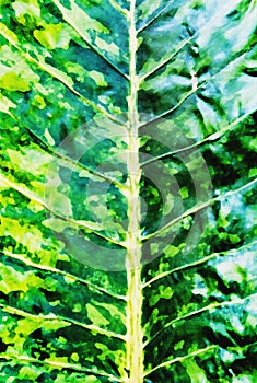 Blurry painting a organic of green leafe background photo