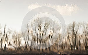 Blurry river water reflection of the bare trees in winter sunset