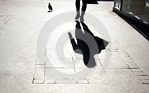 Blurry shadow silhouette of  a person and a pigeon