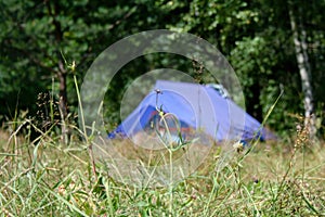 A blurry silhouette of a blue tent on a camping trip. Focus on the foreground. Clear summer day