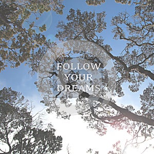 Blurry tree branches against blue sky with Inspirational quote