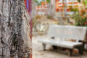 Blurry unfocused bench beside focused tree trunk.