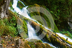 Blurry waterfall with the fallen tree