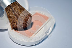 Blush brush and blusher