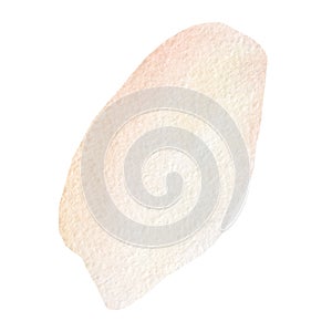 Blush circle splash with watercolor hand drawn abstract texture. Nude brush strock