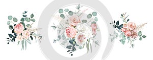 Blush pink garden roses, ranunculus, hydrangea flowers vector design bouquets