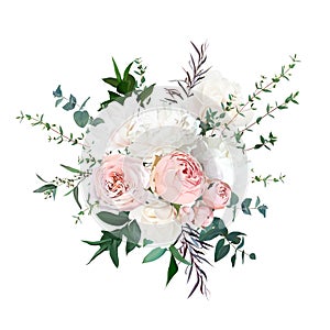 Blush pink garden roses, ranunculus, white peony, magnolia flowers vector design bouquet