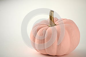 Blush pink pumpkins with gold stems on solid color background with copy space.